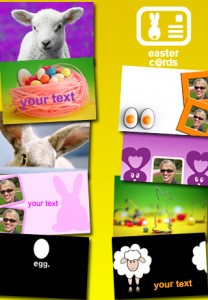 Oster Cards