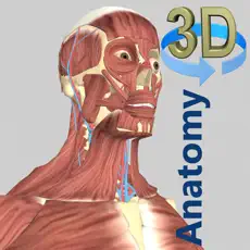 ‎3D Anatomy