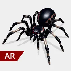 ‎AR Spinnen