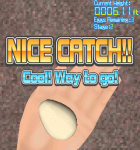 Catch The Egg