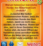 Warum?