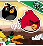 3 Angry Birds