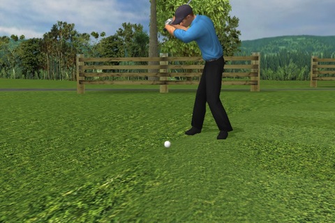 PGA Tour 12: Der Tiger im Test