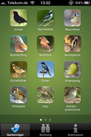 Gartenvögel: Wie heißt der Piepmatz noch gleich?