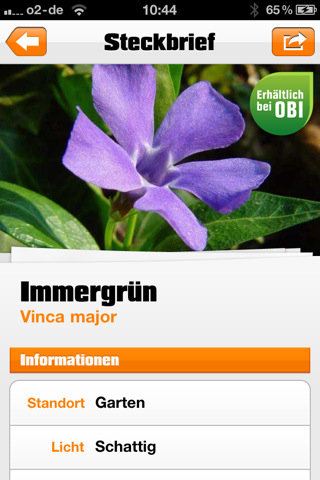 OBI Pflanzenfinder: Für den blumigen Anstrich