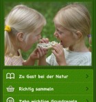 Wilde-Beeren-3