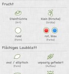 Wilde-Beeren-4