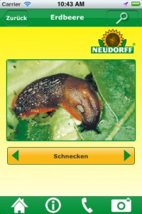 Pflanzendoktor