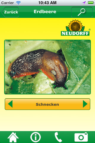 Pflanzendoktor: Foto einsenden & Schädling erfragen