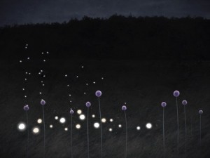 Flight of the Fireflies