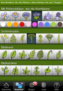 iBlumen
