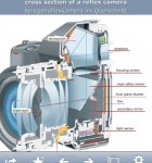 PONS BIldwoerterbuch 1