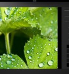Pholium 3