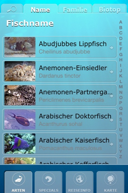 Tauchreiseführer Rotes Meer: Unterwasserwelten in Bild und Ton genießen