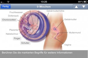 Meine Schwangerschaft heute