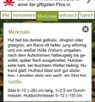 Pilze bestimmen 2