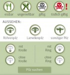 Pilze bestimmen 4