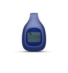 2 Fitbit