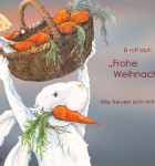 3 Schneehase