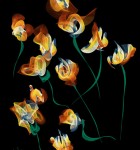 Flowpaper 4