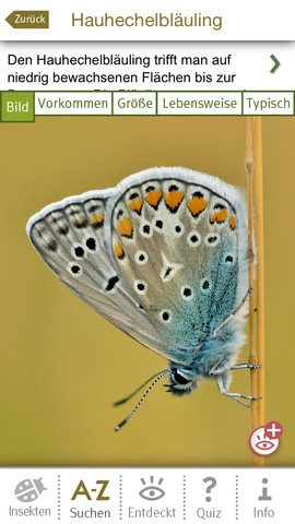 Insekten und Schmetterlinge: 100 Arten mit dem iPhone entdecken und bestimmen
