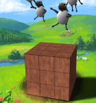 Sheep Shack 4