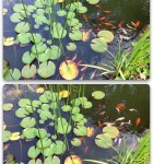 02 - Olloclip Pola 2