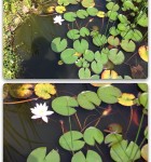 03 - Olloclip Tele 1