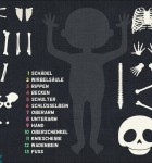 Anatomie für Kinder