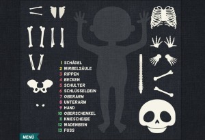 Anatomie für Kinder