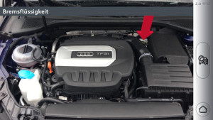 Audi eKurzinfo
