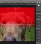Intensify Pro 2