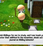 Monster Adventures 3