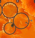 Ring Run Circus 2