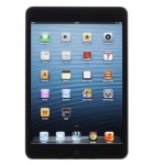 iPad mini