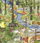 Erlebnis Wald 1