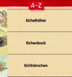 Erlebnis Wald 4