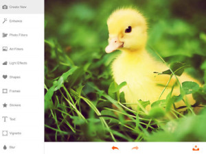 Phoenix Photo Editor HD