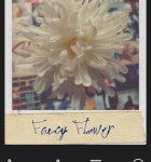 Polamatic 4