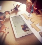 Foldify Zoo