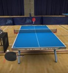 Table Tennis Touch 3