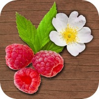 Natur-Apps im Preis gesenkt: Heilpflanzen, Exotische Früchte, Hundeführer & mehr