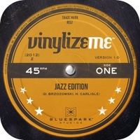 VinylizeMe erstellt kostenlos Vintage-Plattencover