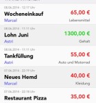 Unser Haushaltsbuch 1