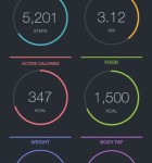 FitPort 2