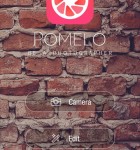 Pomelo 1