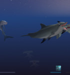 I Am Dolphin