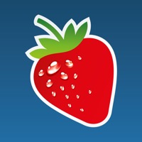 Histamin, Fructose & Co.: Info-App für Inhaltsstoffe überarbeitet