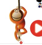 JungleJam 1