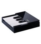 Ozaki OArcade TAPiano 2